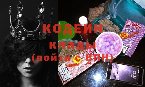 молекула духа Надым