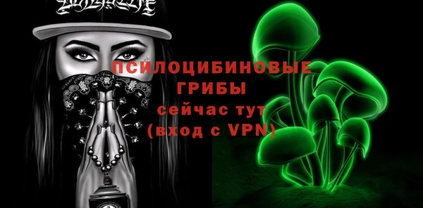 мдпв Елабуга