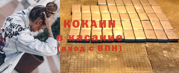 мдпв Елабуга