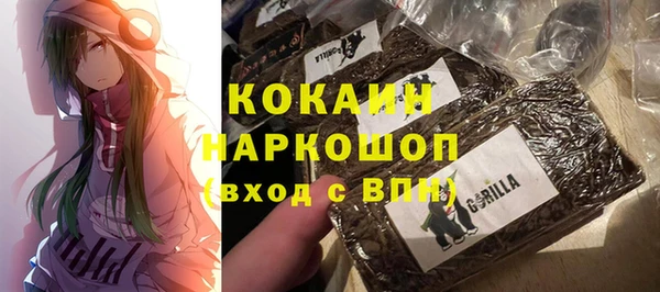 индика Навашино