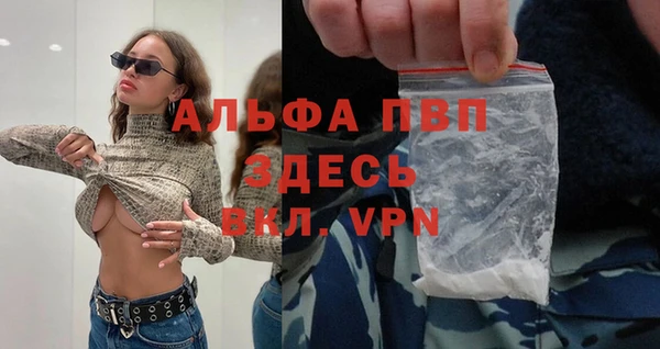 мдпв Елабуга