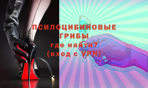 мдпв Елабуга