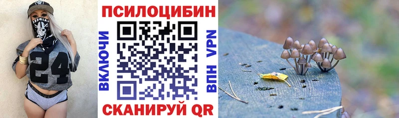 сколько стоит  Красновишерск  Псилоцибиновые грибы Psilocybine cubensis 